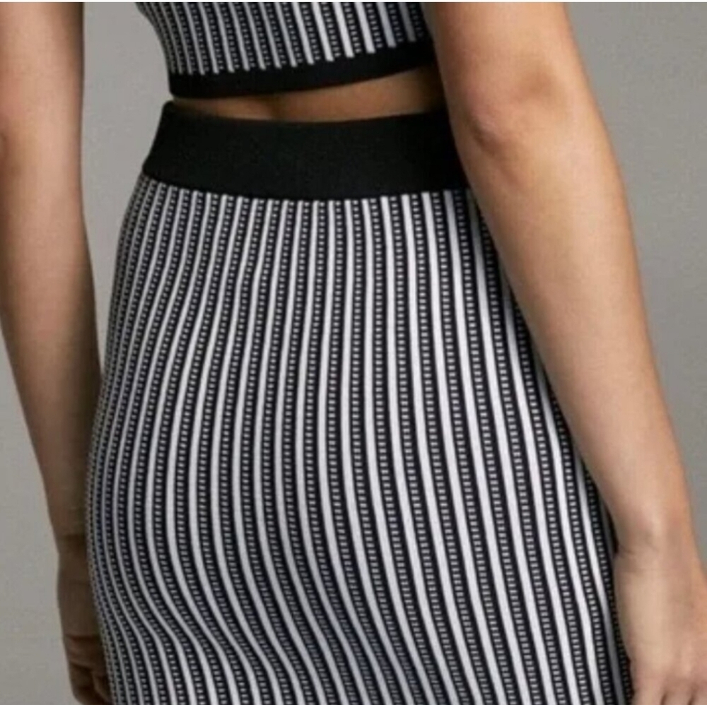 Aritzia Babaton Black & White Midi Bodycon Sculpt Knit Stripped Skirt Size Small - Picture 2 of 7
